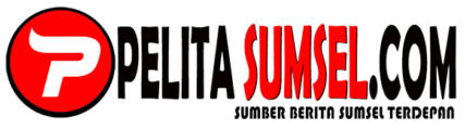 Pelita Sulsel logo